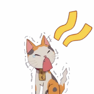 🐱