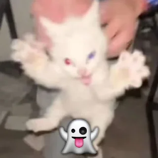 👻
