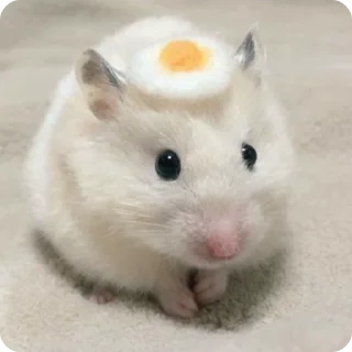 🍳
