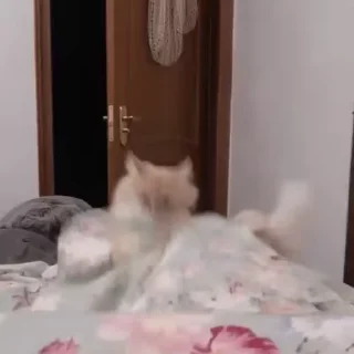 🥳