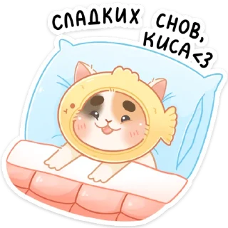 😴