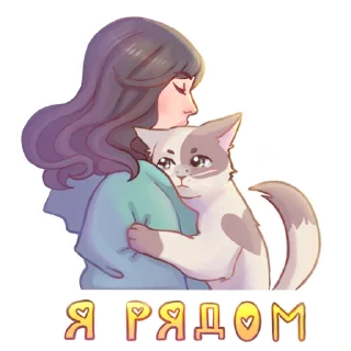 😿
