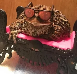 👓