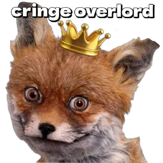 🦊