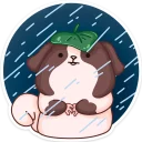 ☔️