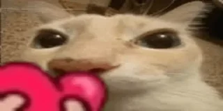 ❤️