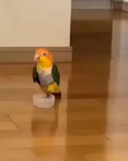 😋