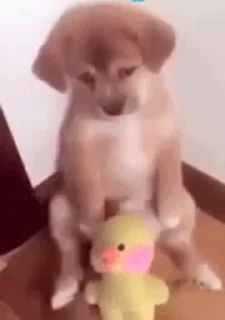🥺