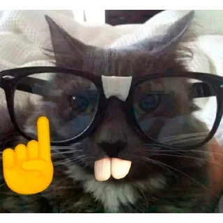 🤓