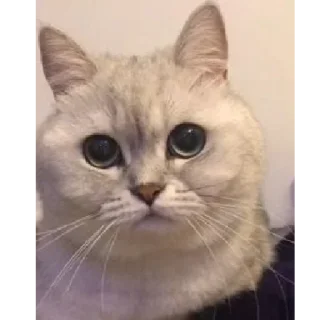 😐