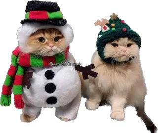 🎄