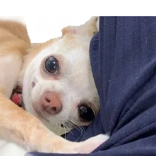 😀