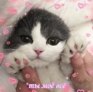❤️