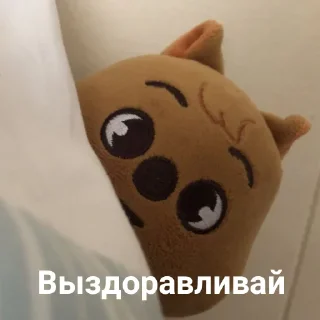 🤍