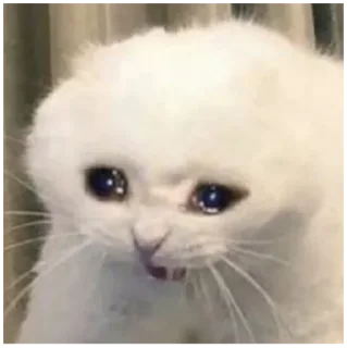 🥺