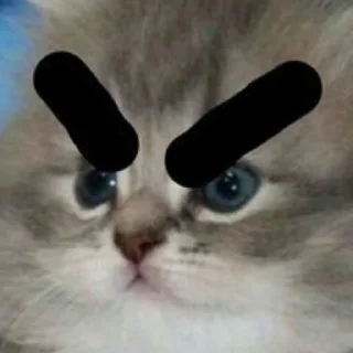🗿