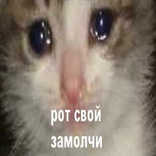 😭