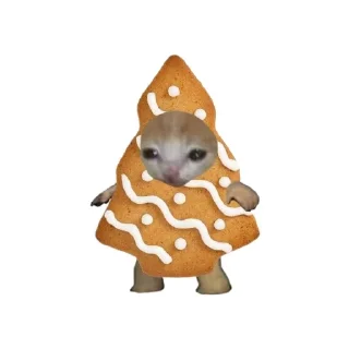 🐱