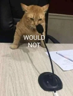 🎙