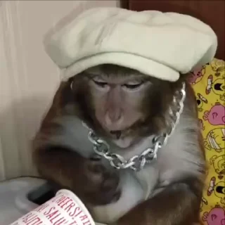 НИКАЛАИЧ ☆ @Em0dzi ☆