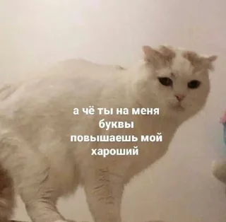 🥺