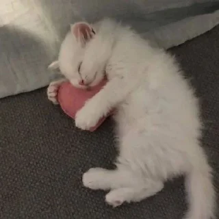 ❤️