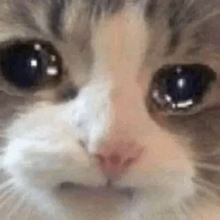 🥺