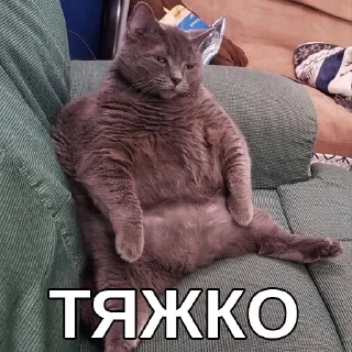 😢