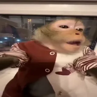 🥱