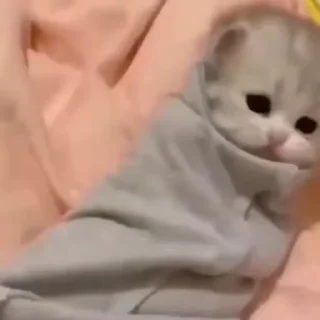 ☺️