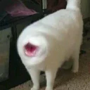 😨