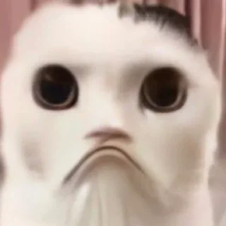 🥺