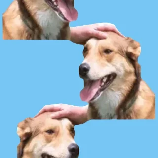 🟦