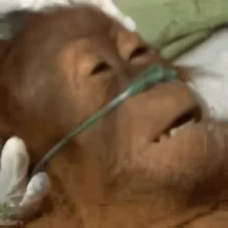 😢