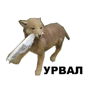 🐺