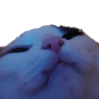 😎