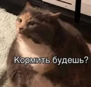 🧐