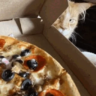🍕