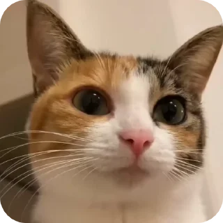 🥰