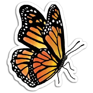🦋