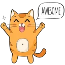 🐱