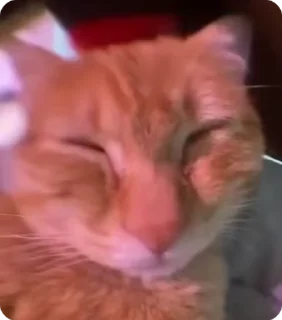📞