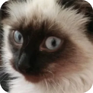😳