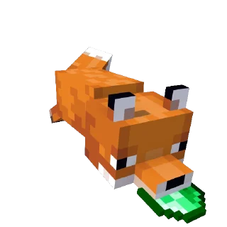 🦊