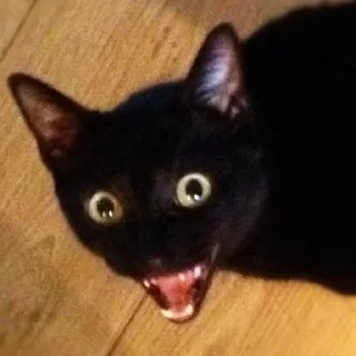 👹
