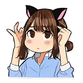 😽