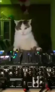 😎