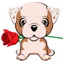 🌹