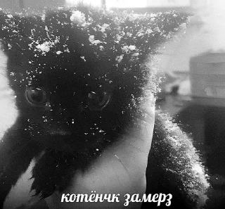 🥶