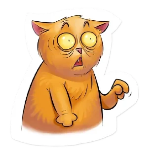 😸